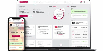 E-bankowość w Polsce wciąż kwitnie