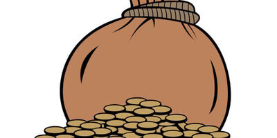 (Nie)duży majątek Polaka